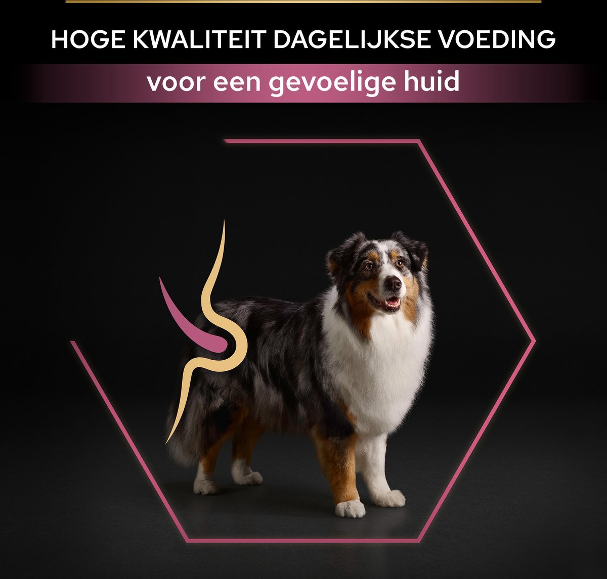 PURINA PRO PLAN Sensitive Skin Senior (7+) - Zalm - 14 kg - Afbeelding 8