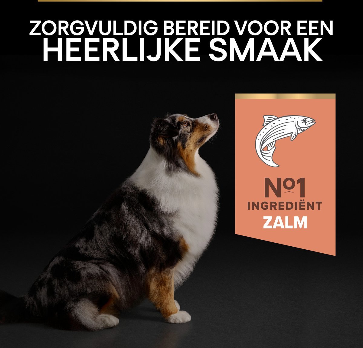 PURINA PRO PLAN Sensitive Skin Senior (7+) - Zalm - 14 kg - Afbeelding 7