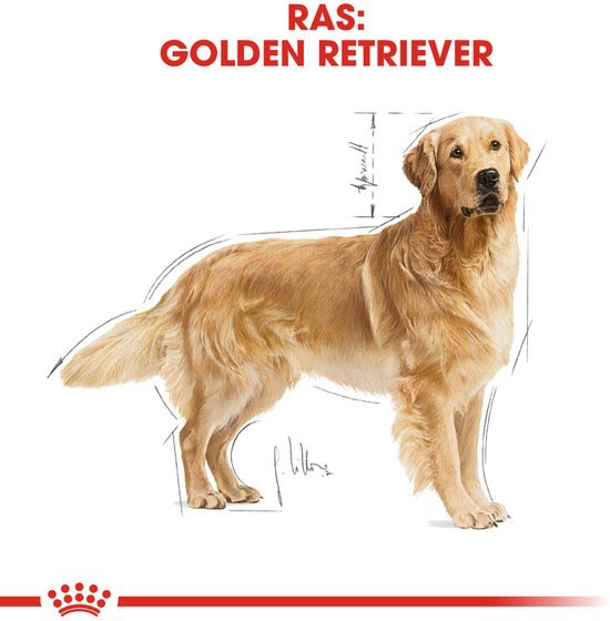 Royal Canin Labrador Retriever - 12 kg - Adult - Hondenbrokken - Afbeelding 6