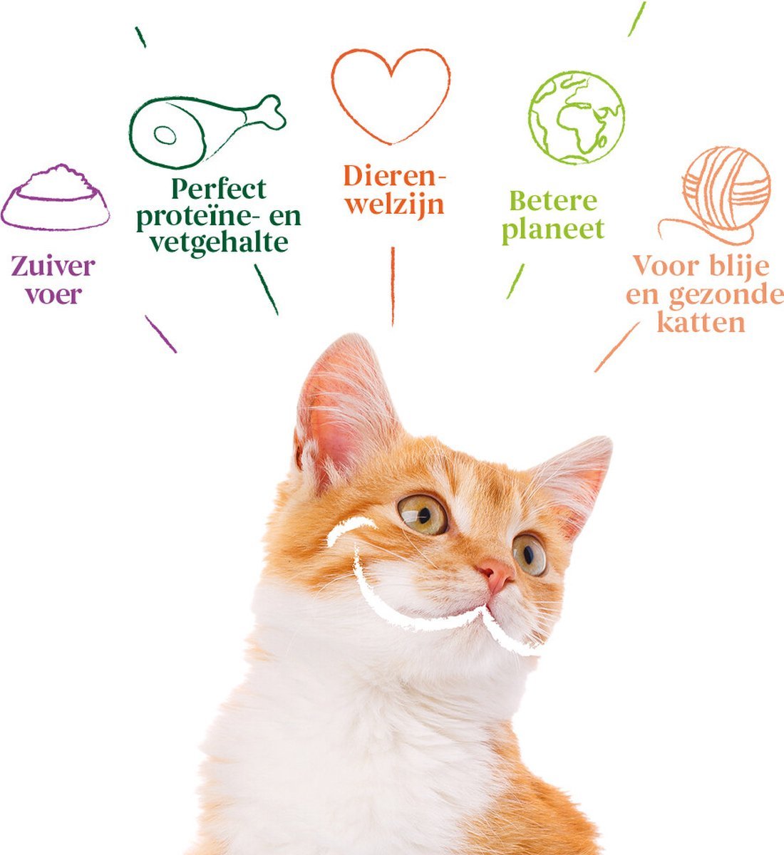 YARRAH BIOLOGISCHE KATTENVOER FILETS MET KALKOEN IN SAUS 14X85 GR - Afbeelding 4